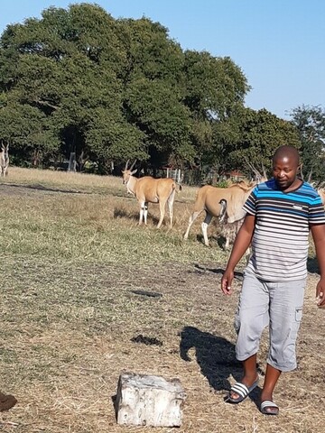 Mnyamana, 43 Polokwane, Limpopo, South Africa