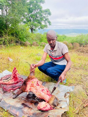 Waks, 52 Mount Frere, Eastern Cape, South Africa
