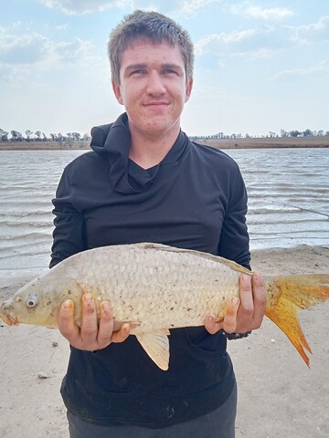 Danies, 20 Standerton, Mpumalanga, South Africa