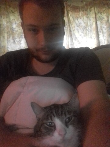 Crow, 22 Howick, KwaZulu-Natal, South Africa