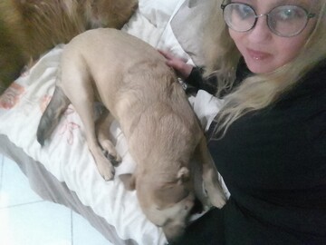 The Poet2, 41 Cape Town, Western Cape, South Africa