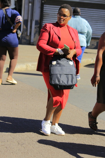 Bee, 35 Middelburg (MP), Mpumalanga, South Africa