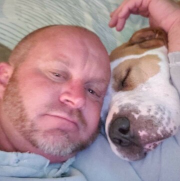 Teddywall, 53 Cape Town, Western Cape, South Africa