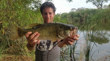 johnlouis, 45 Mokopane, Limpopo, South Africa