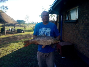 yster5, 48 Vereeniging, Gauteng, South Africa