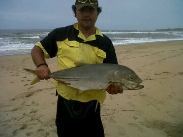 dingo 30, 43 Margate, KwaZulu-Natal, South Africa