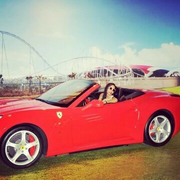 cat24, 36 Cape Town, Western Cape, South Africa