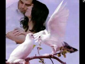 Hindi, 58 Durban, KwaZulu-Natal, South Africa