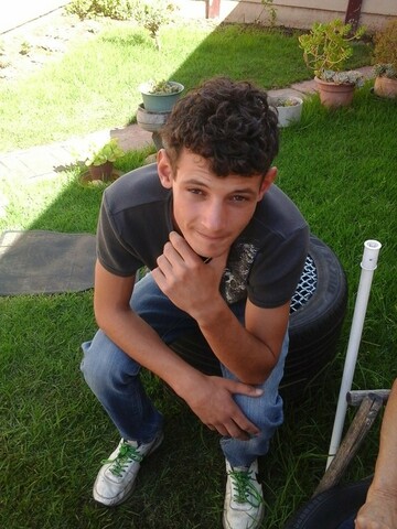 night hawk, 31 Springs, Gauteng, South Africa