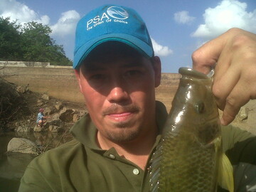 alex158, 42 Barberton, Mpumalanga, South Africa