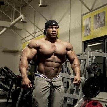 Musclestring, 36 Pretoria, Gauteng, South Africa