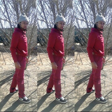 cardo5, 30 Standerton, Mpumalanga, South Africa