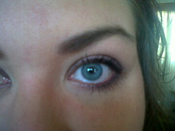 roseblossom, 36 Vanderbijlpark, Gauteng, South Africa