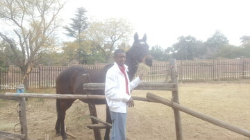 dreamer15, 53 Alberton, Gauteng, South Africa