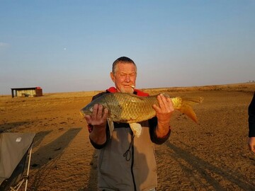 Lovebleguy77, 48 Middelburg (MP), Mpumalanga, South Africa