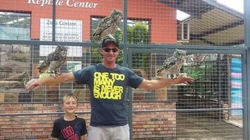 Bugs3, 47 Midrand, Gauteng, South Africa