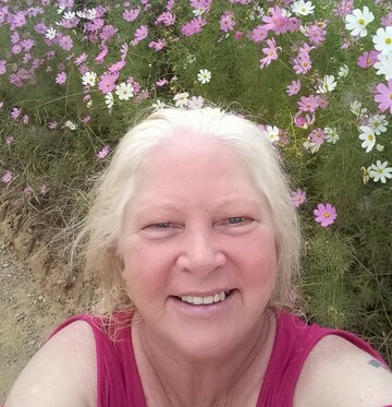 Halwehart, 61 Alberton, Gauteng, South Africa