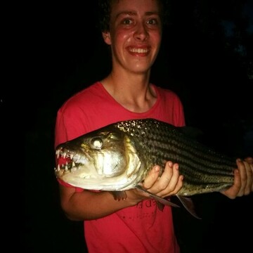 Chris262, 29 Komatipoort, Mpumalanga, South Africa