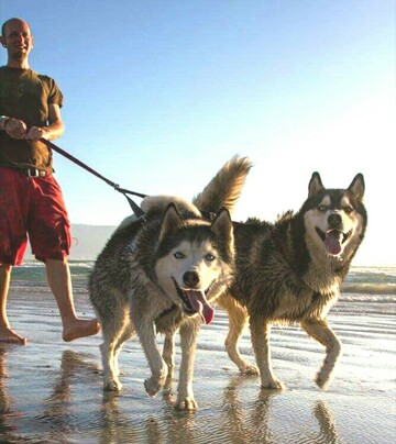 Conan, 46 Cape Town, Western Cape, South Africa