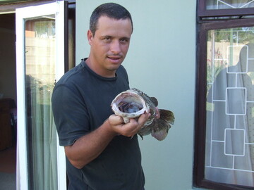 cassie123, 47 Pretoria, Gauteng, South Africa