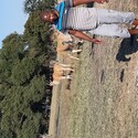 Mnyamana Gallery Photo 1