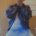 Ladywest Gallery Photo 2