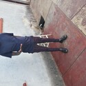 Thela Gallery Photo 1