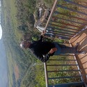 Luciano Gallery Photo 4