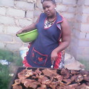 Ndazo2 Gallery Photo 1