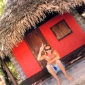 tropicalsun Gallery Photo 4