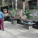 MrPat Gallery Photo 1