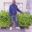 norx Gallery Photo 2