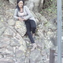 Shandy Gallery Photo 1