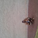 slim18 Gallery Photo 1