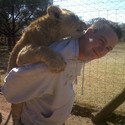 steveo4 Gallery Photo 2