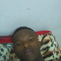 Sbeko2 Gallery Photo 2