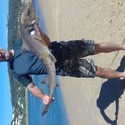 buffel2 Gallery Photo 1
