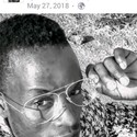 floyd10 Gallery Photo 2
