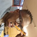 vince977 Gallery Photo 4