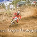 WCP Gallery Photo 4